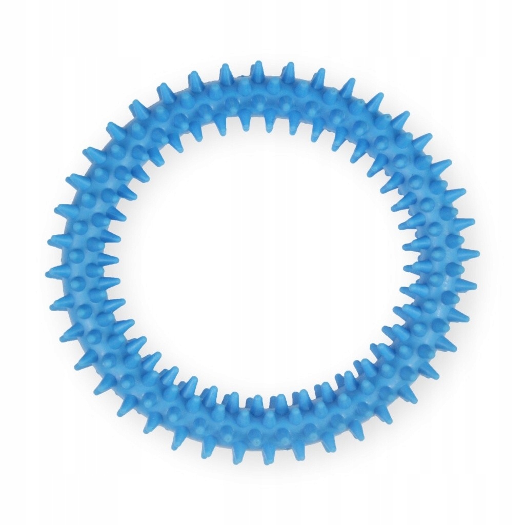 

Zabawka Dla Psa Pet Nova Ring Miętowy 12,5cm