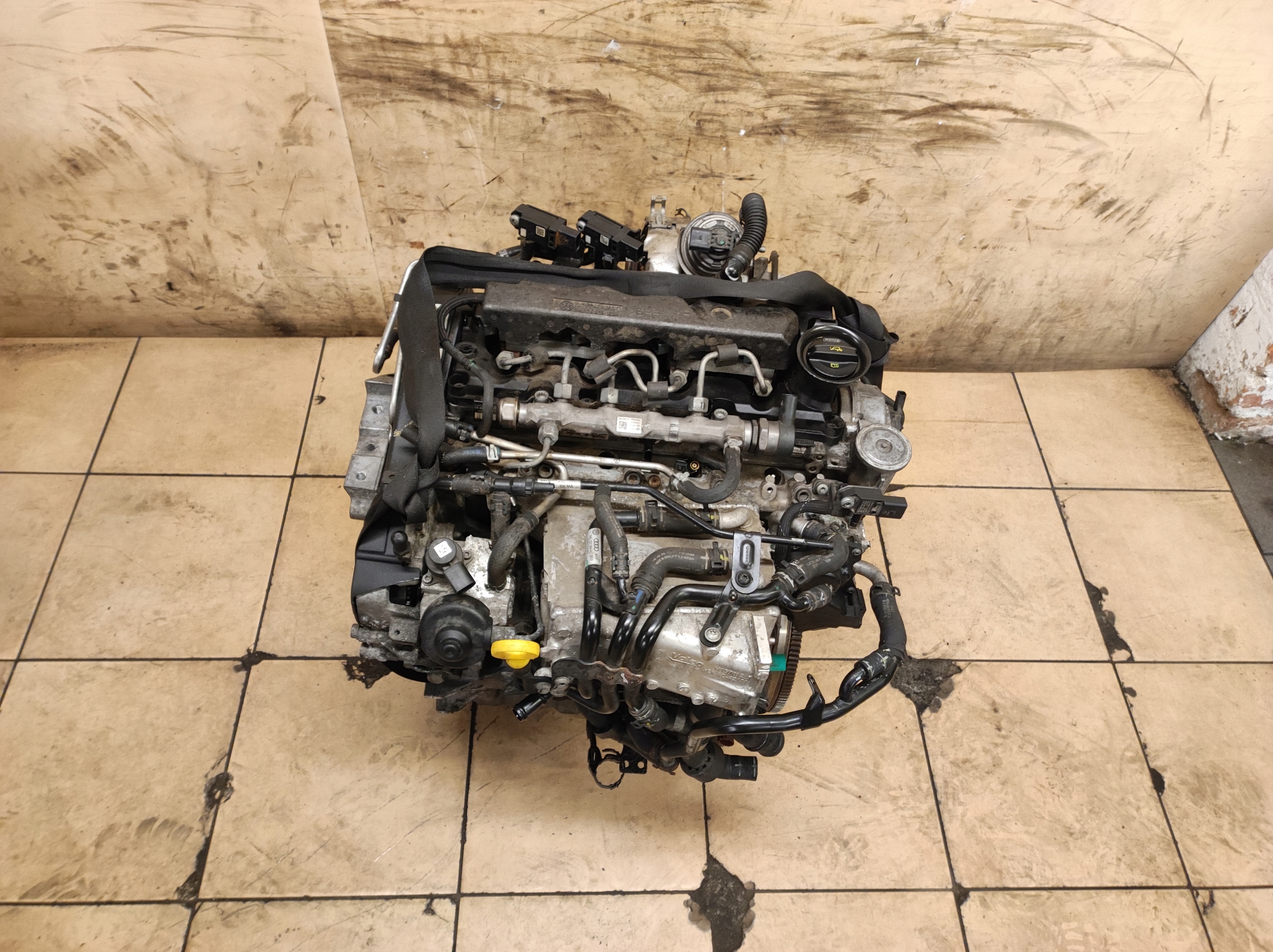 двигатель комплектный Audi A3 8V 1.6 tdi