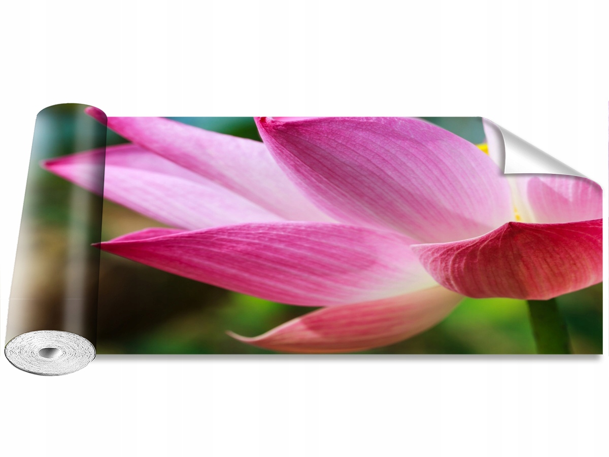 

Tapeta Okleina MagicStick Lotos Różowy 250x104