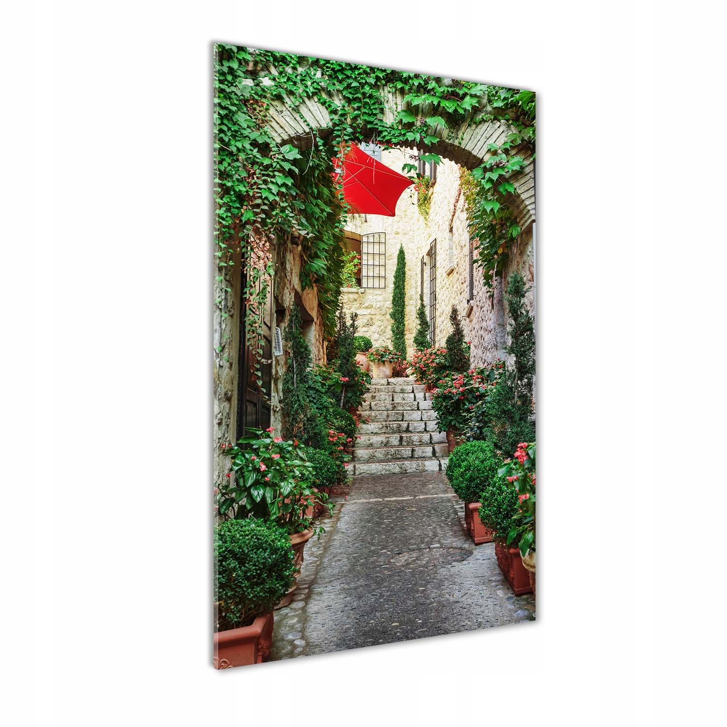 

Foto obraz szkło akrylowe Uliczki Francja 60x120cm