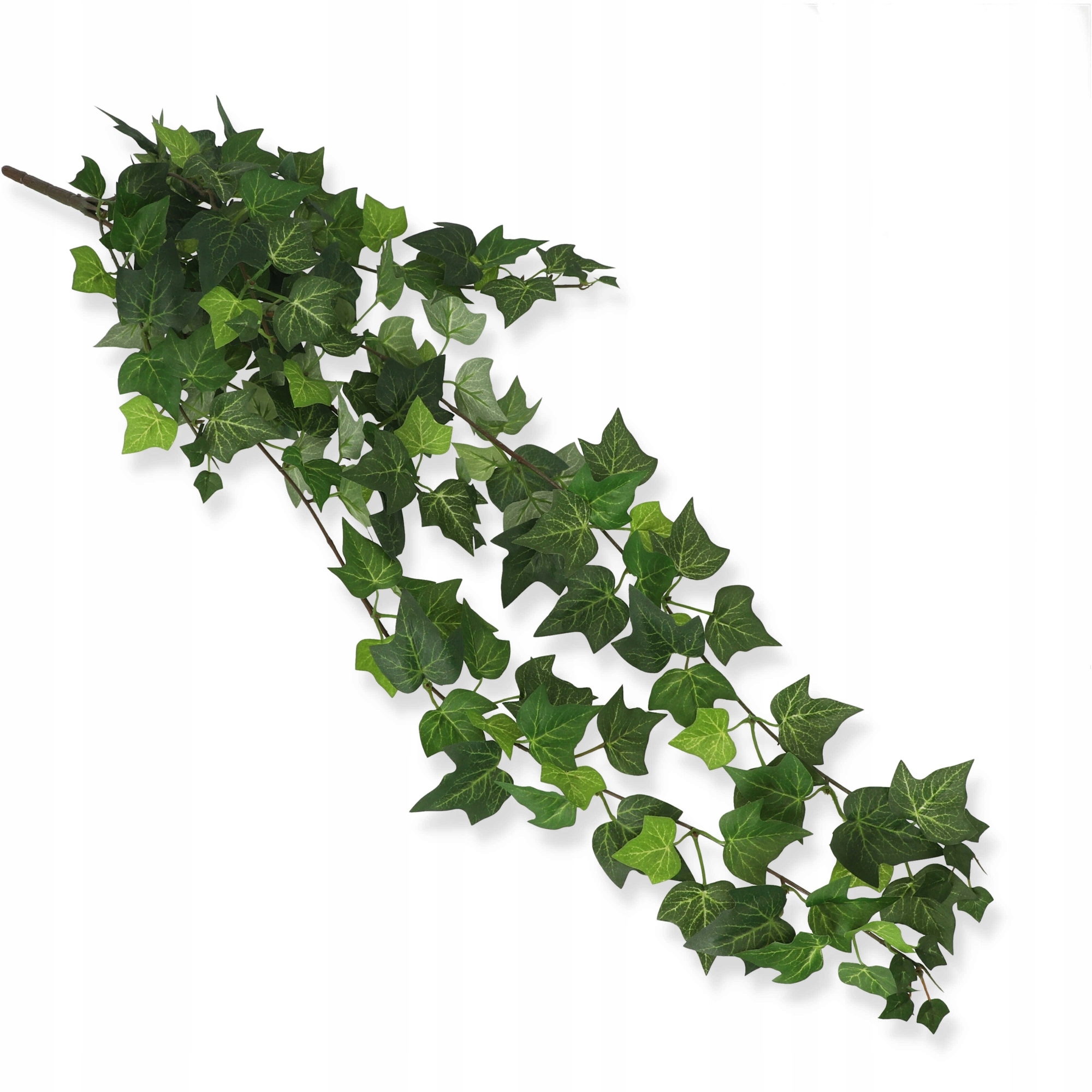 

Bluszczyk Hedera girlanda Bluszcz liście 80 cm
