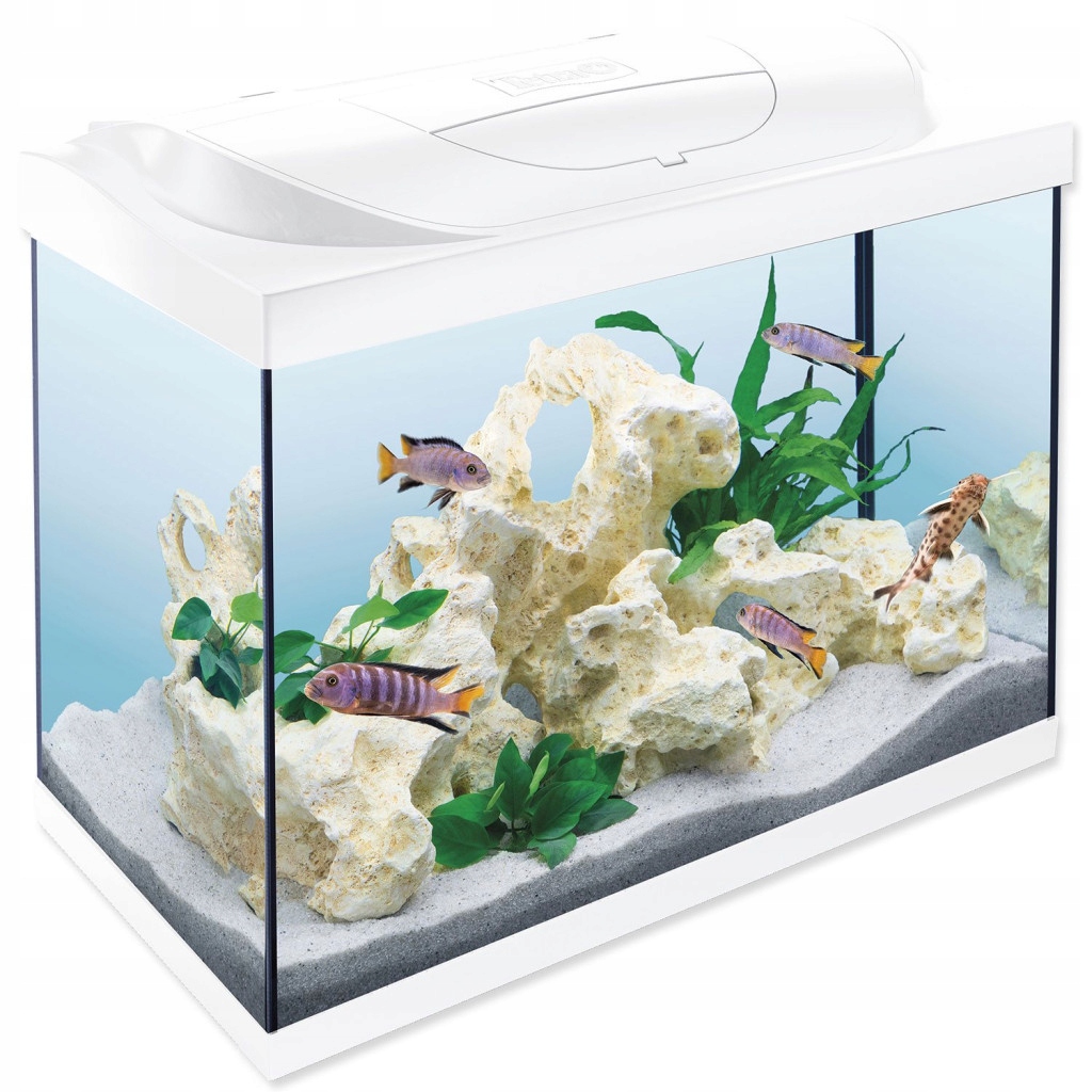 Akvarijní set Tetra Starter Line Led bílá 61x32x51cm 80l