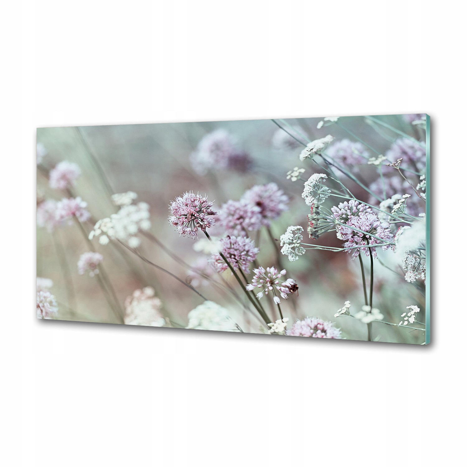 Panel do kuchyně Divoké květiny 120x60 cm Lepidlo