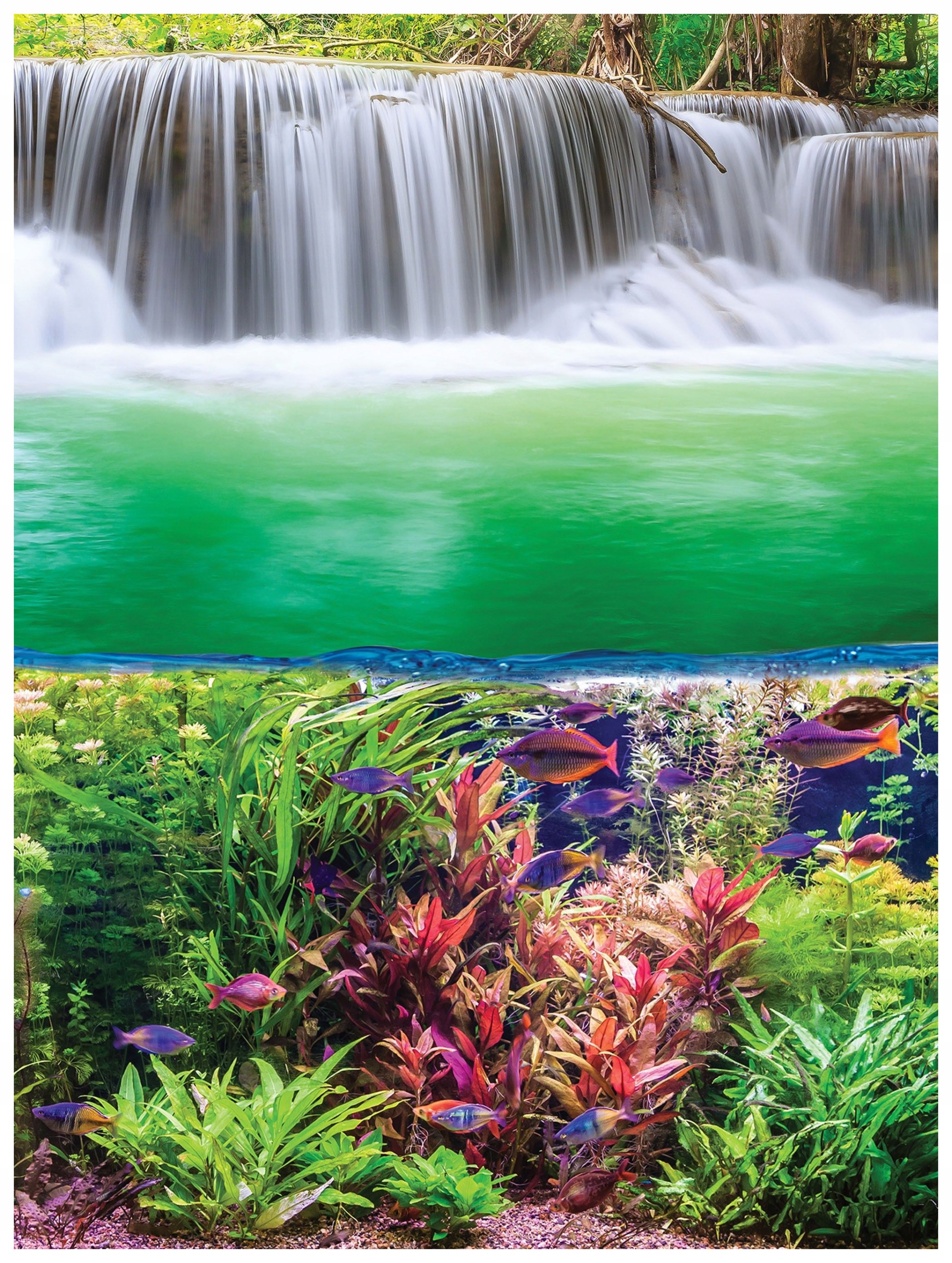 Fototapeta Vodopád Akvárium Ryby Rostliny vinylová 184x254 lepidlo