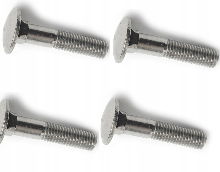 

Śruba zamkowa nierdzewna 8x25 A2 inox 10szt