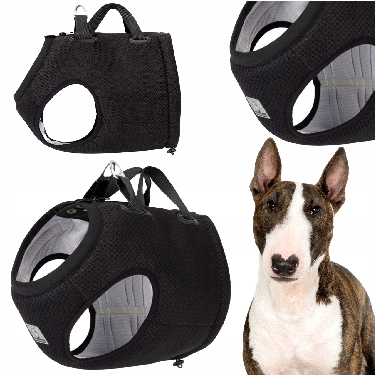 Levně Postroj Do Auta Pro Psa S Atestem Truelove Expedition Černý