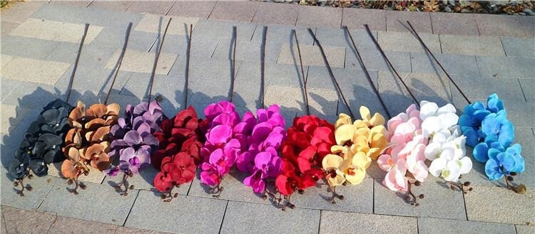 ORCHIDEA ŻÓŁTA STORCZYK PHENELOPSIS 8 KWIAT. 105CM Typ storczyk