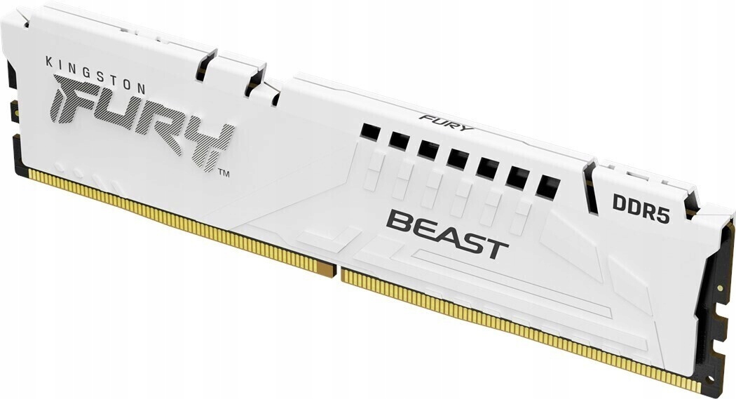Kingston Fury Beast 32GB DDR5-6000 CL36 (KF560C36BWE-32)