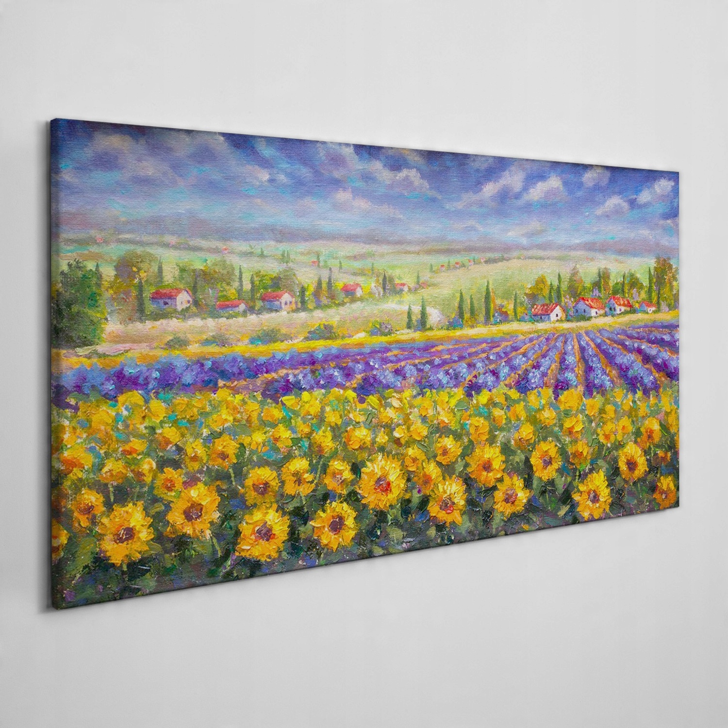 

Obraz na płótnie na ramie Kwiaty wieś 120x60 cm