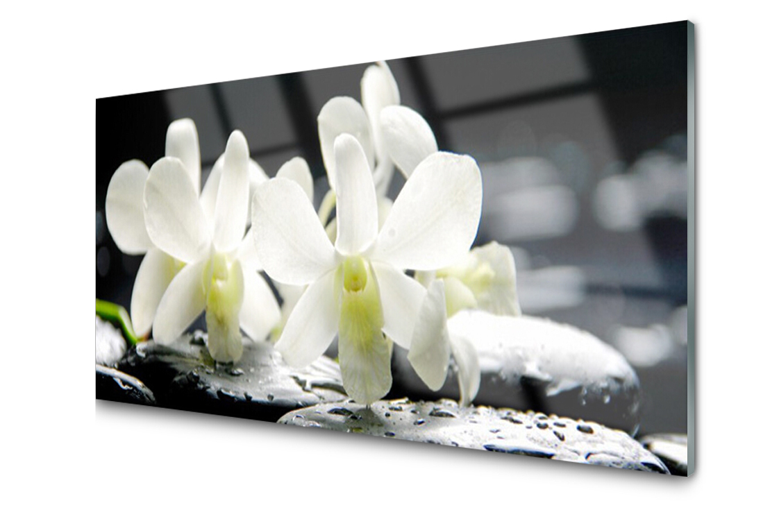 Sklenený panel Doska Kvety Orchidea 120x60