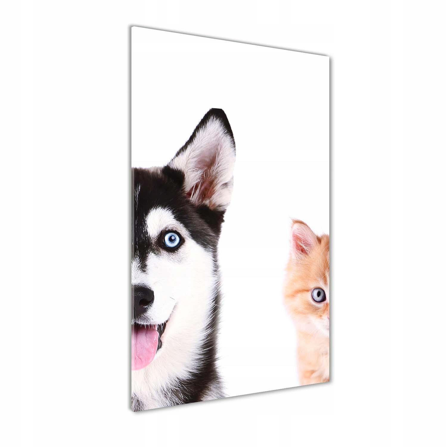 

Foto obraz akrylowy na ścianę Pies i kot 60x120cm