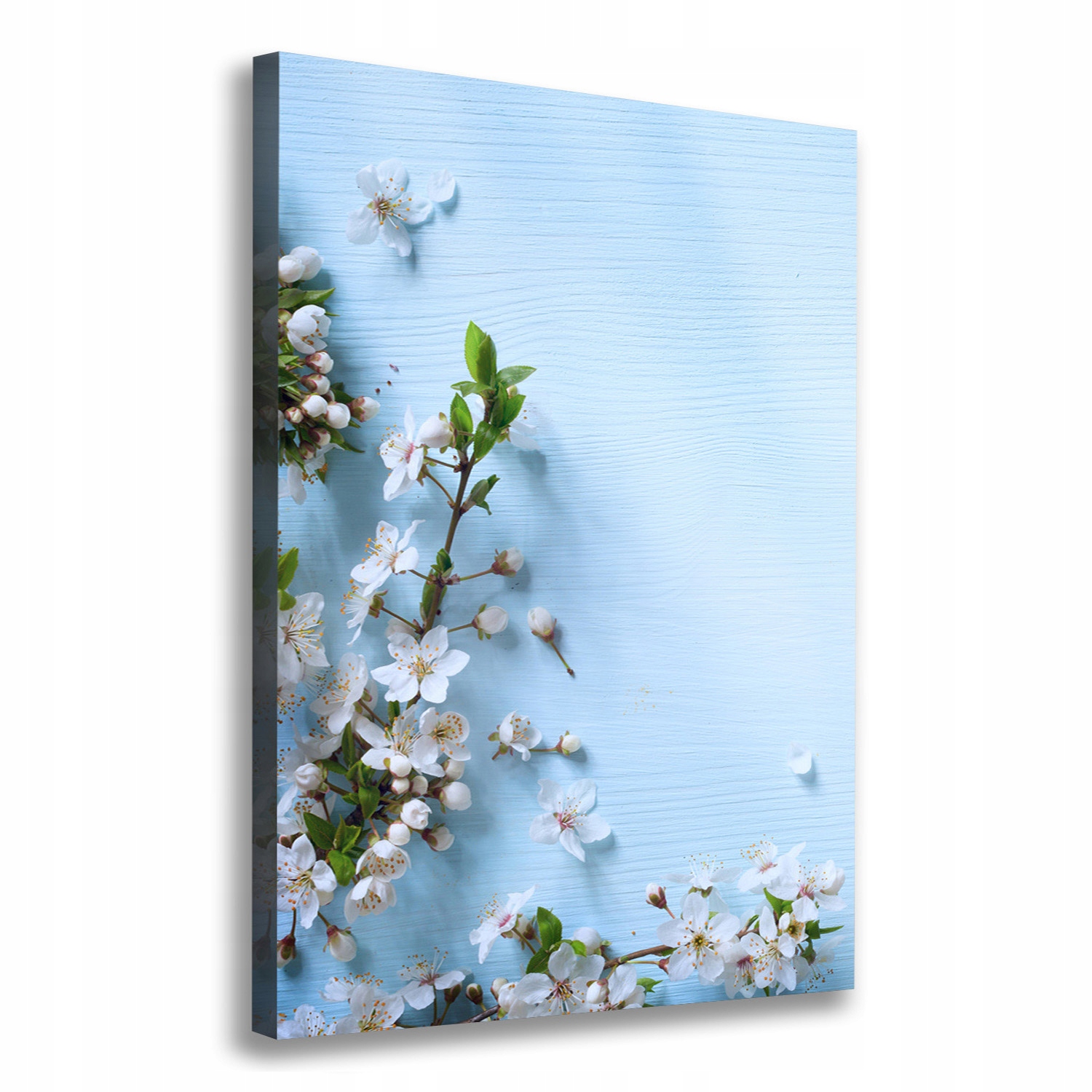 Fotoobraz canvas do obývacího pokoje Květy třešní 70x100