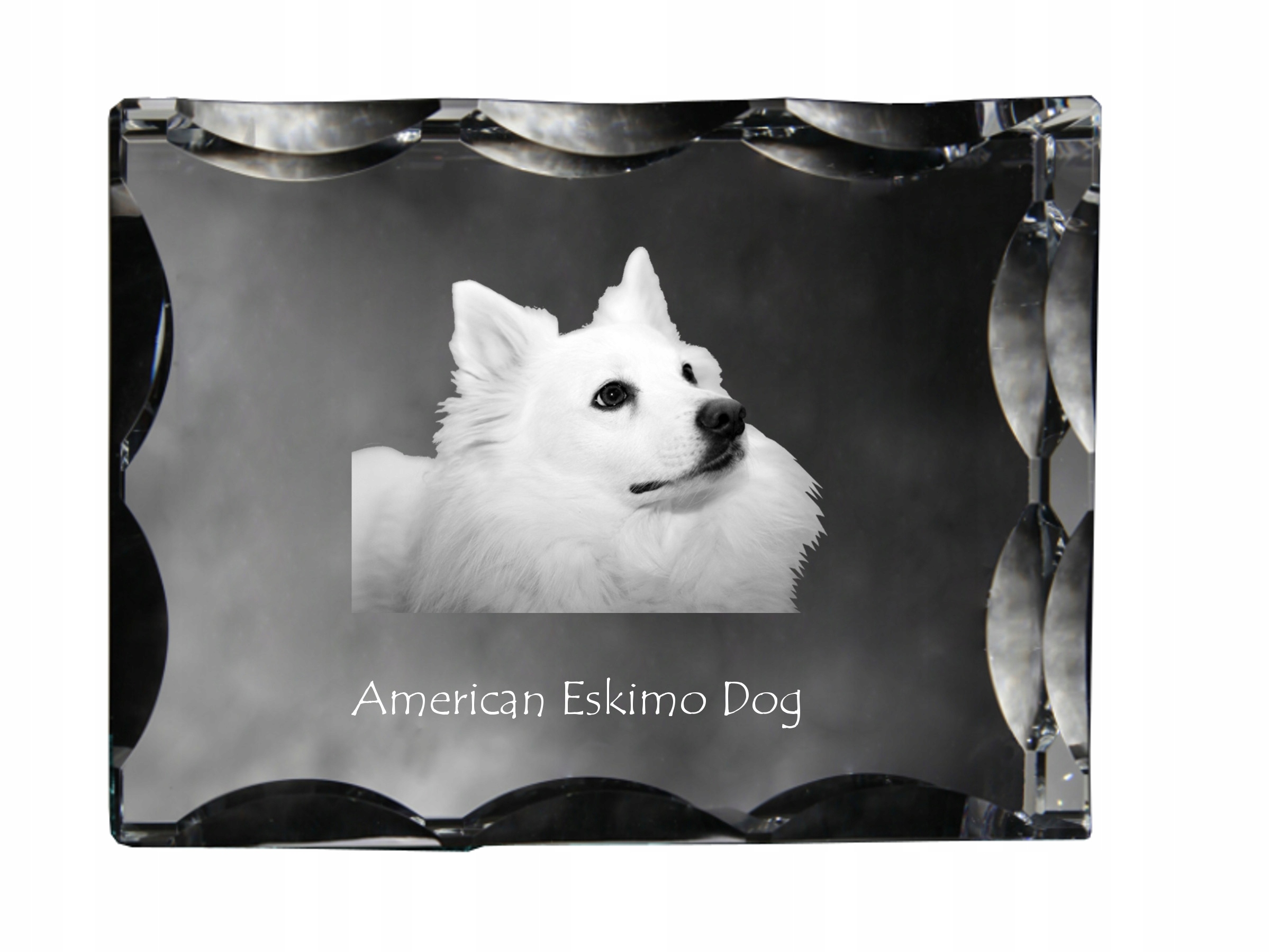 American Eskimo Dog fotografia psa v ozdobnom kryštáli, suvenír, dekorácia