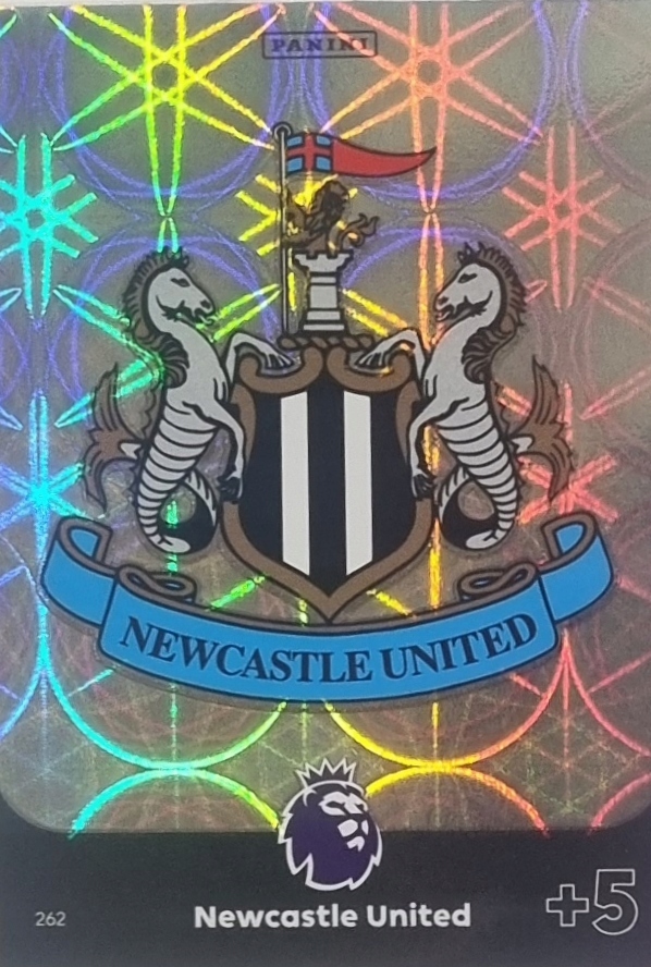 Premier League 2024 Logo Newcastle United 262