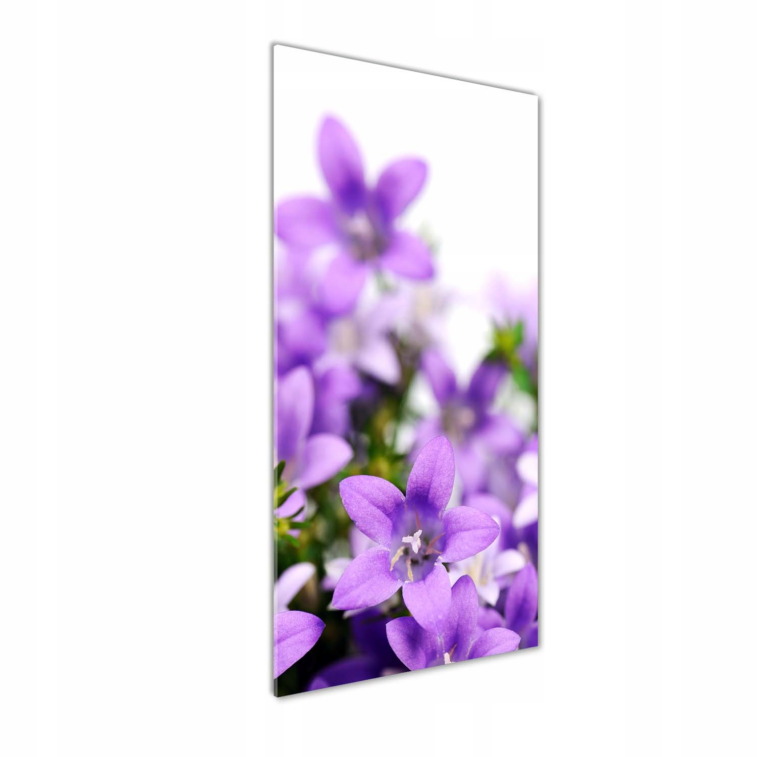 

Foto obraz na szkle Fioletowe dzwonki 50x125 cm