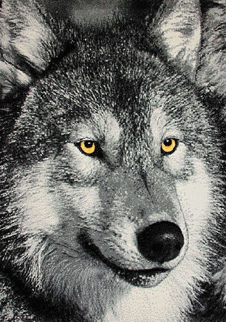 

Dywan Młodzieżowy Koloreo Wilk Nowoczesny 120x170