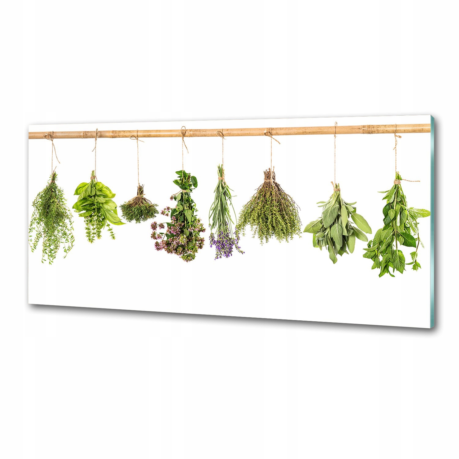 Panel do kuchyne Bylinky na šnúrke 125 x 50 cm Lepidlo