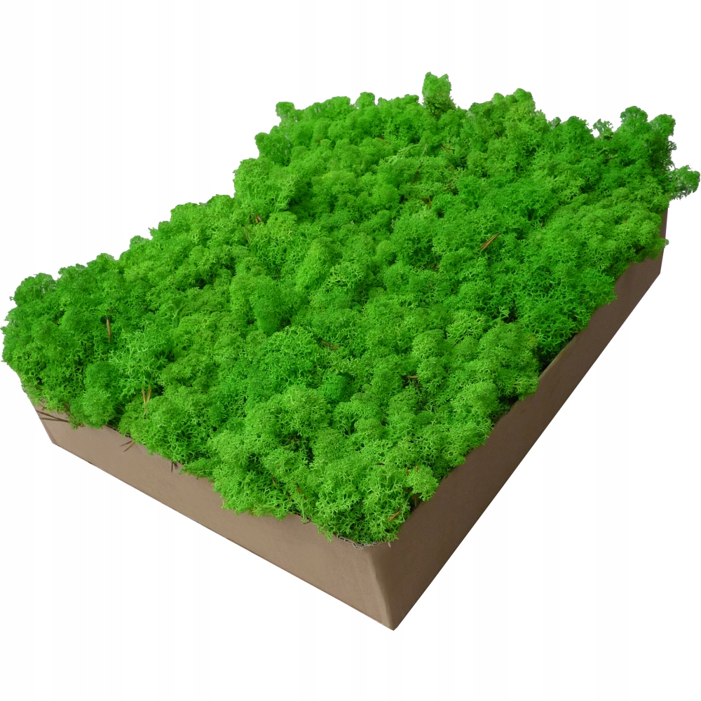 Mech Chrobotek Light Green Karton 1kg Kolor zielony