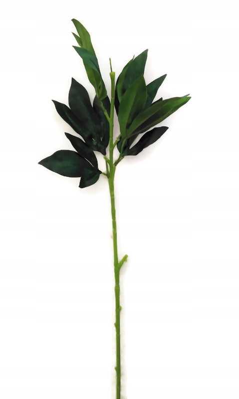 

Łodyga piwonia wyrobowa Peonia gałązka 6 szt. 76cm