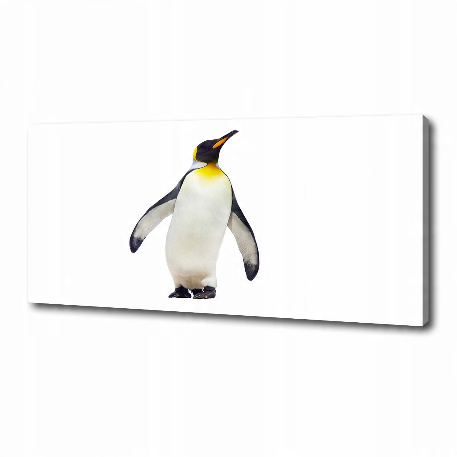 

Foto obraz canvas na ścianę Pingwin 125x50 cm