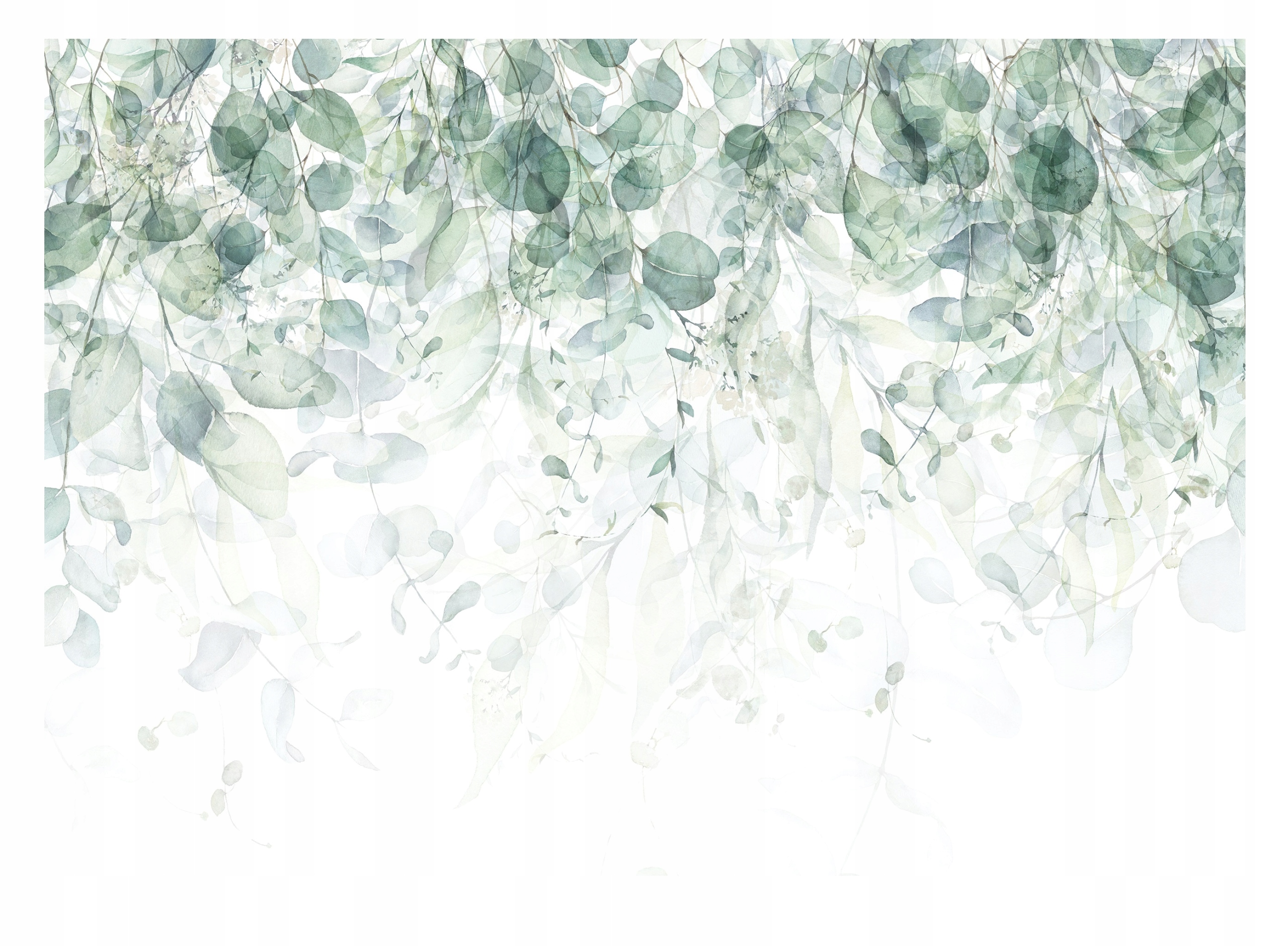 Fototapeta Zelené Závěsné Listy Obývací pokoj 312x219