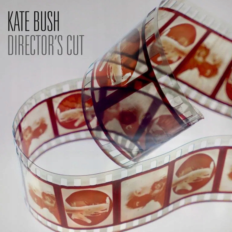Bush Kate: Director's Cut 2Vinyl (lp)