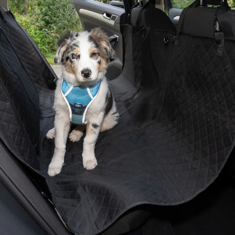 Ochranná podložka do auta Seat Guard
