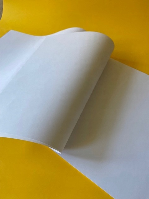

Brystol Biały 170g A2 (43x61) 20 Arkuszy