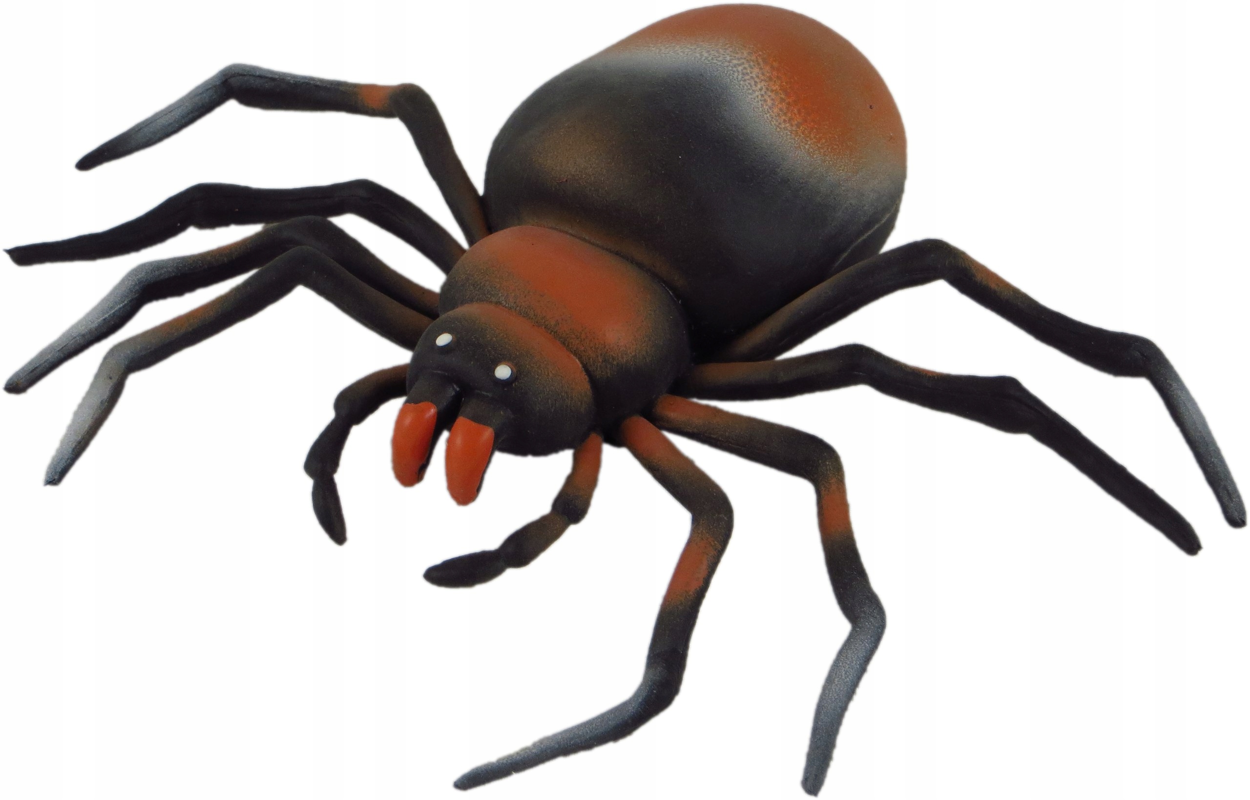 

Tarantula Pająk Z Groszkiem Gumowy Miękki 21CM Gła