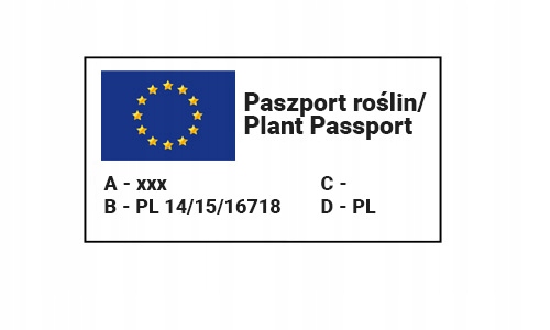 nasiona FASOLA SZPARAGOWA TYCZNA BLAUHILDE 3646 — 7