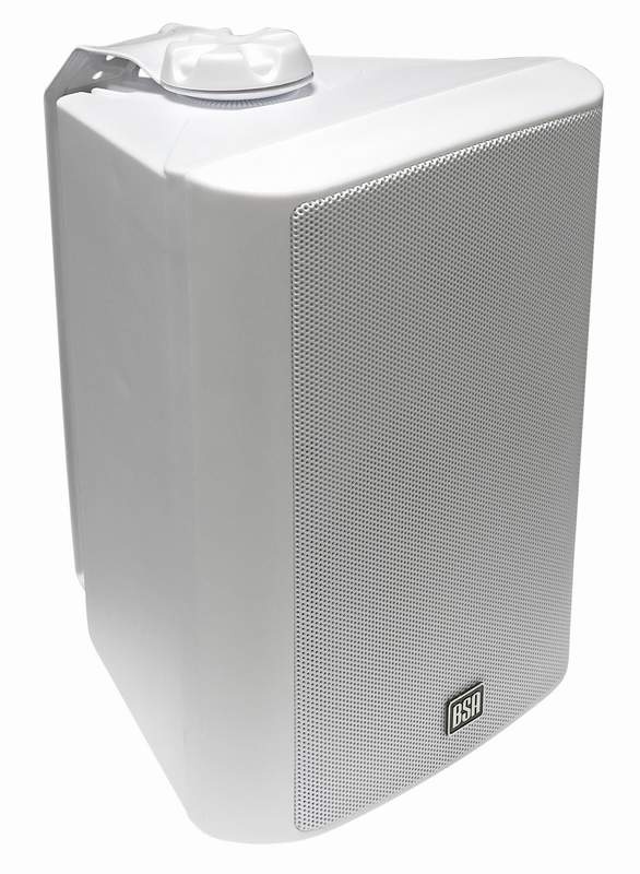 BS Acoustic PS530 Głośnik pasywny