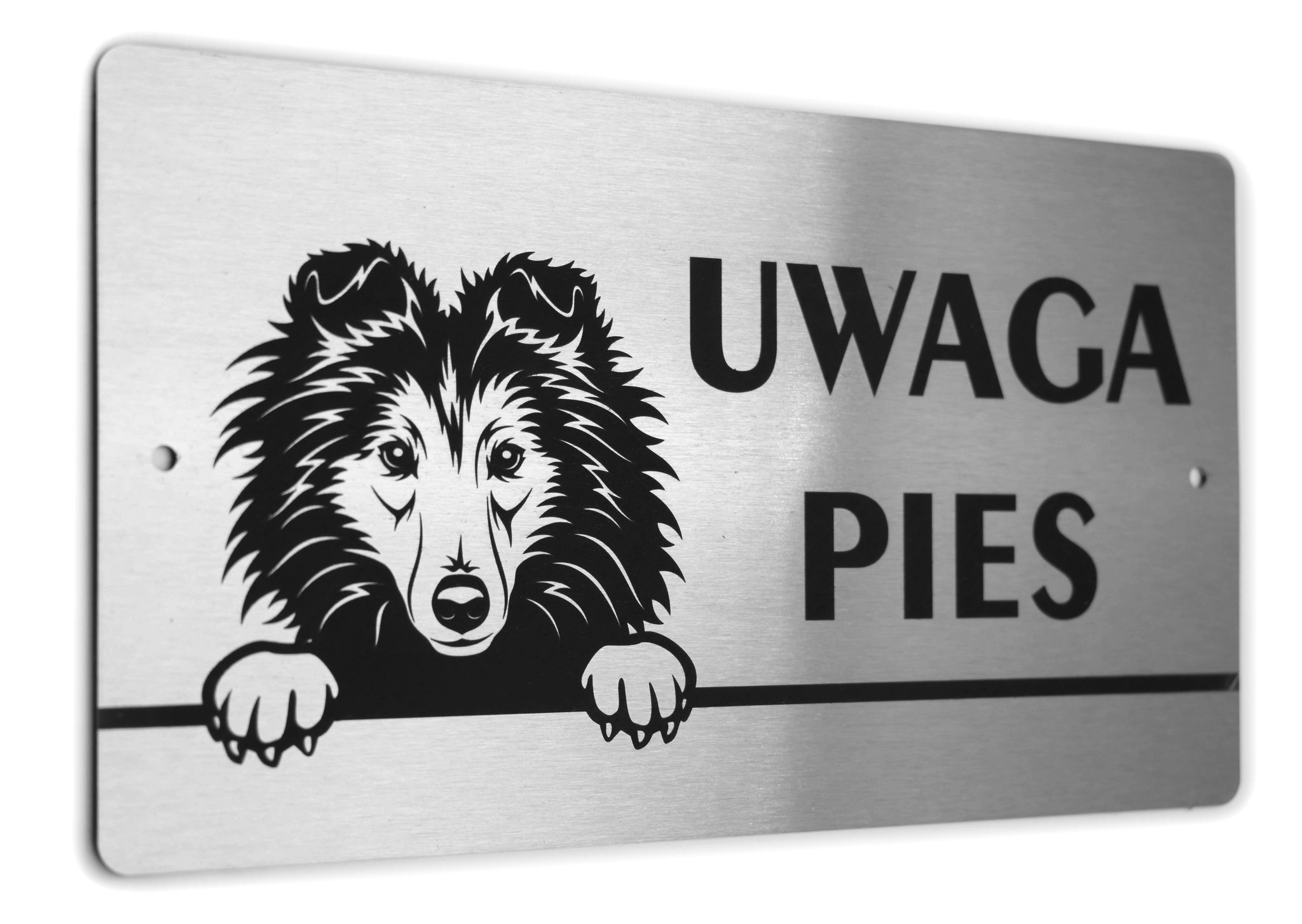 

Tabliczka Inox - Uwaga Pies - Owczarek Szetlandzki