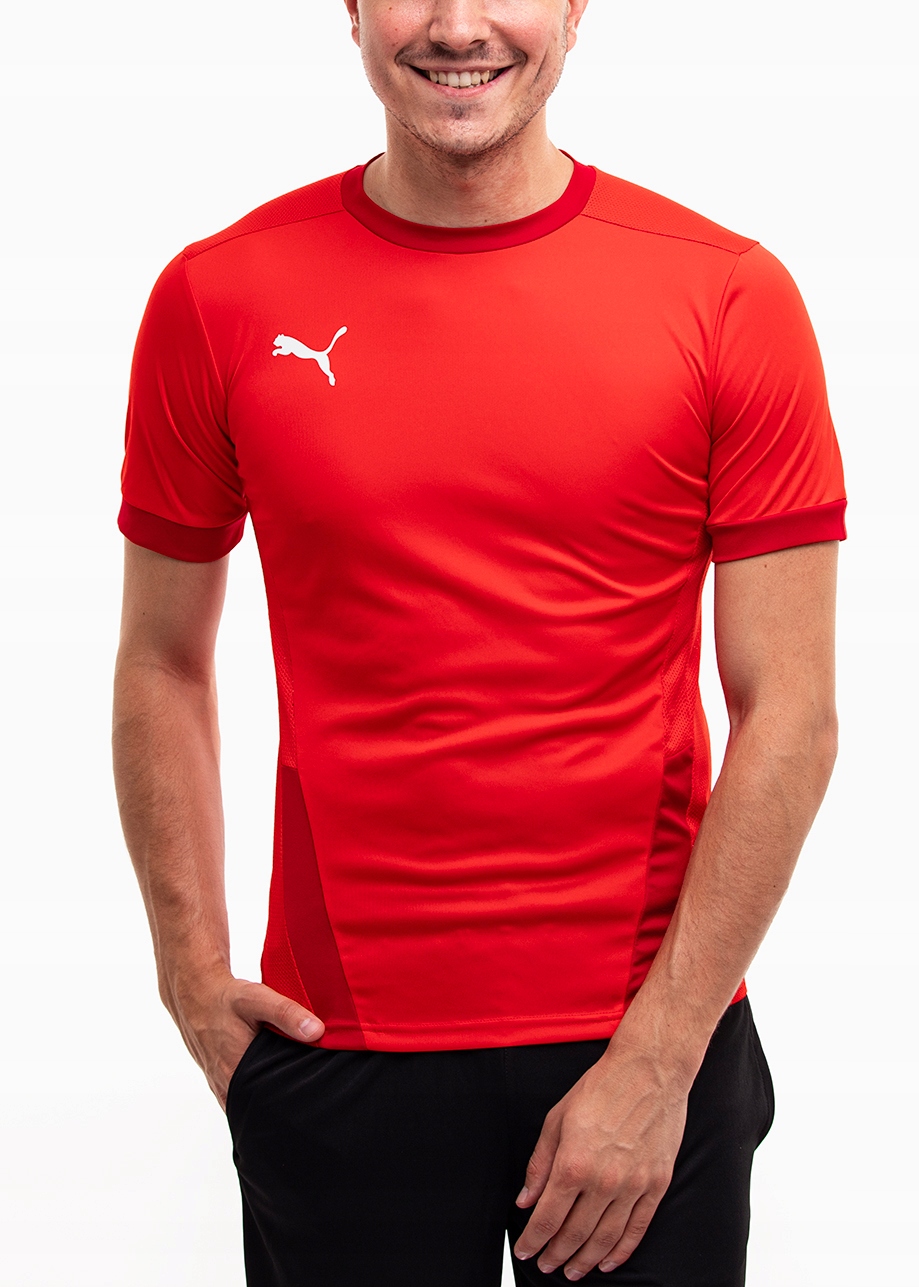 Puma koszulka męska t-shirt bluzka sportowa teamGOAL 23 roz. L