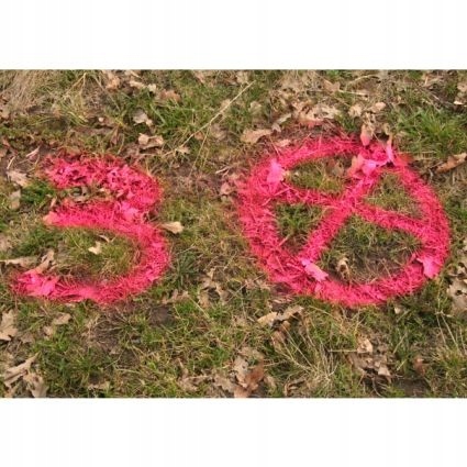 Farba geodezyjna SOPPEC Track Marker 1szt CZERWONY 500ml Pojemność 500 ml