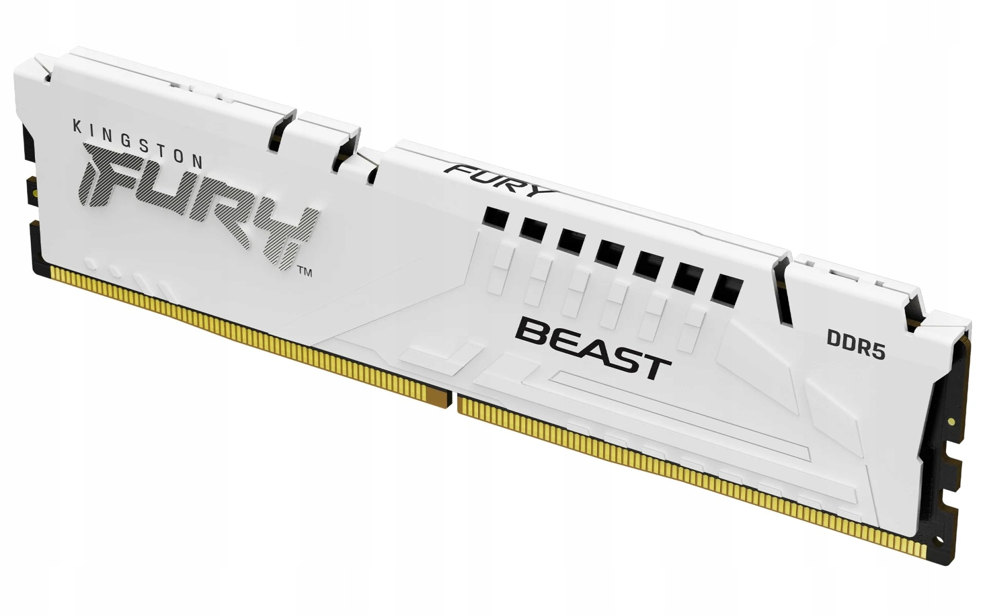 Kingston Technology Fury Beast 16GB 6000MT/s DDR5 CL30 DIMM Biely Expo