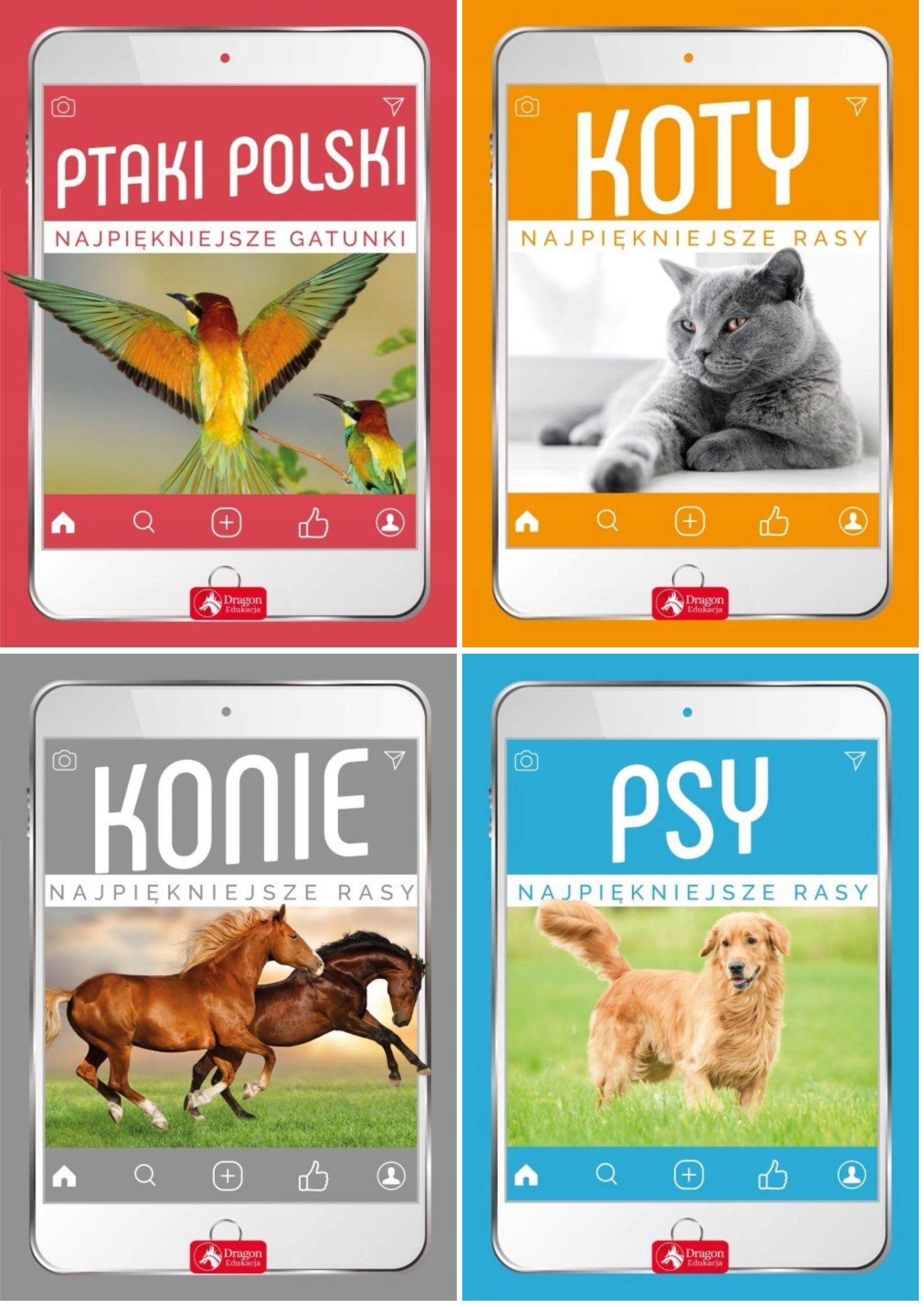

Albumy Pakiet 4w1 Przyroda Zwierzęta Albumy