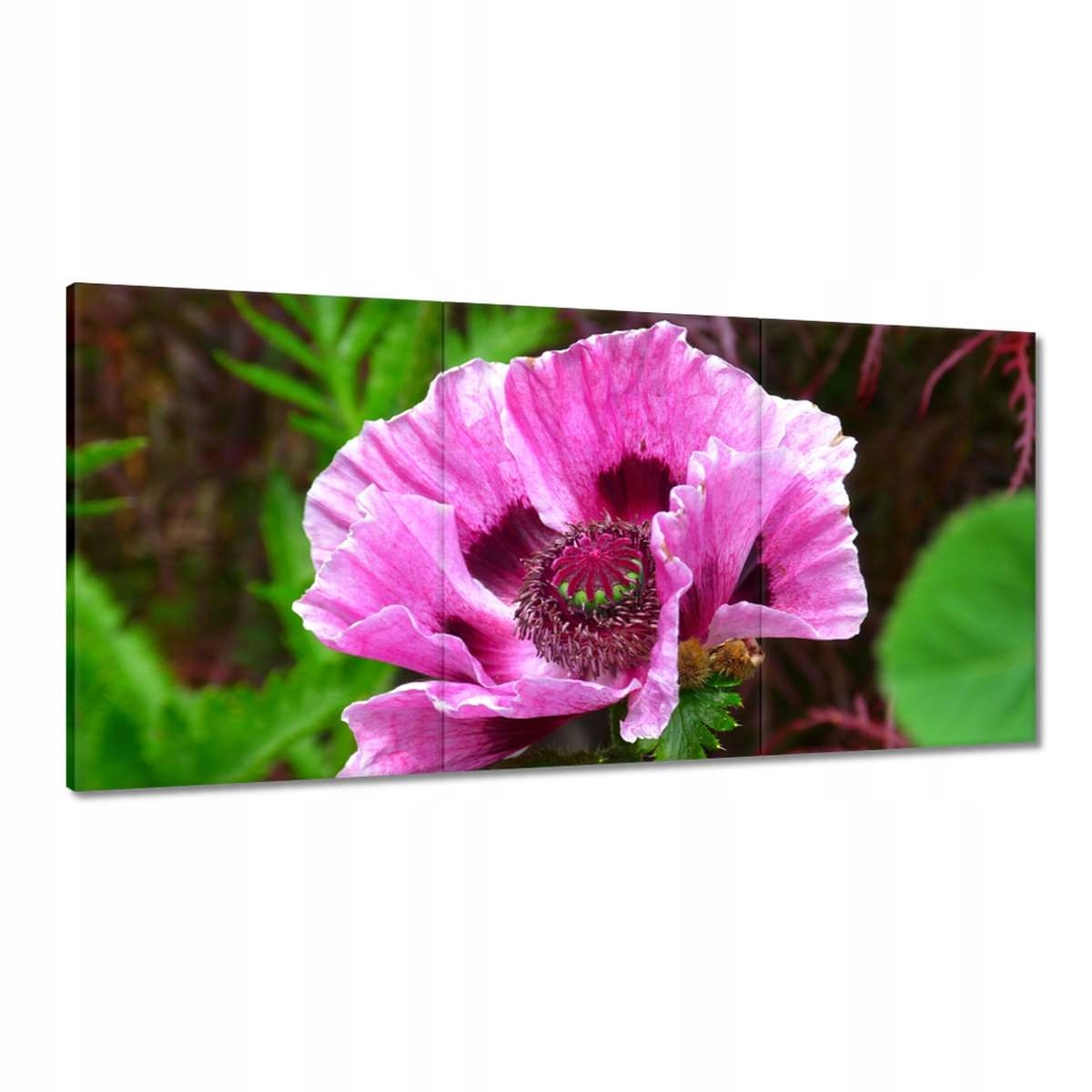 Obrazy 180x90 Fialový květ