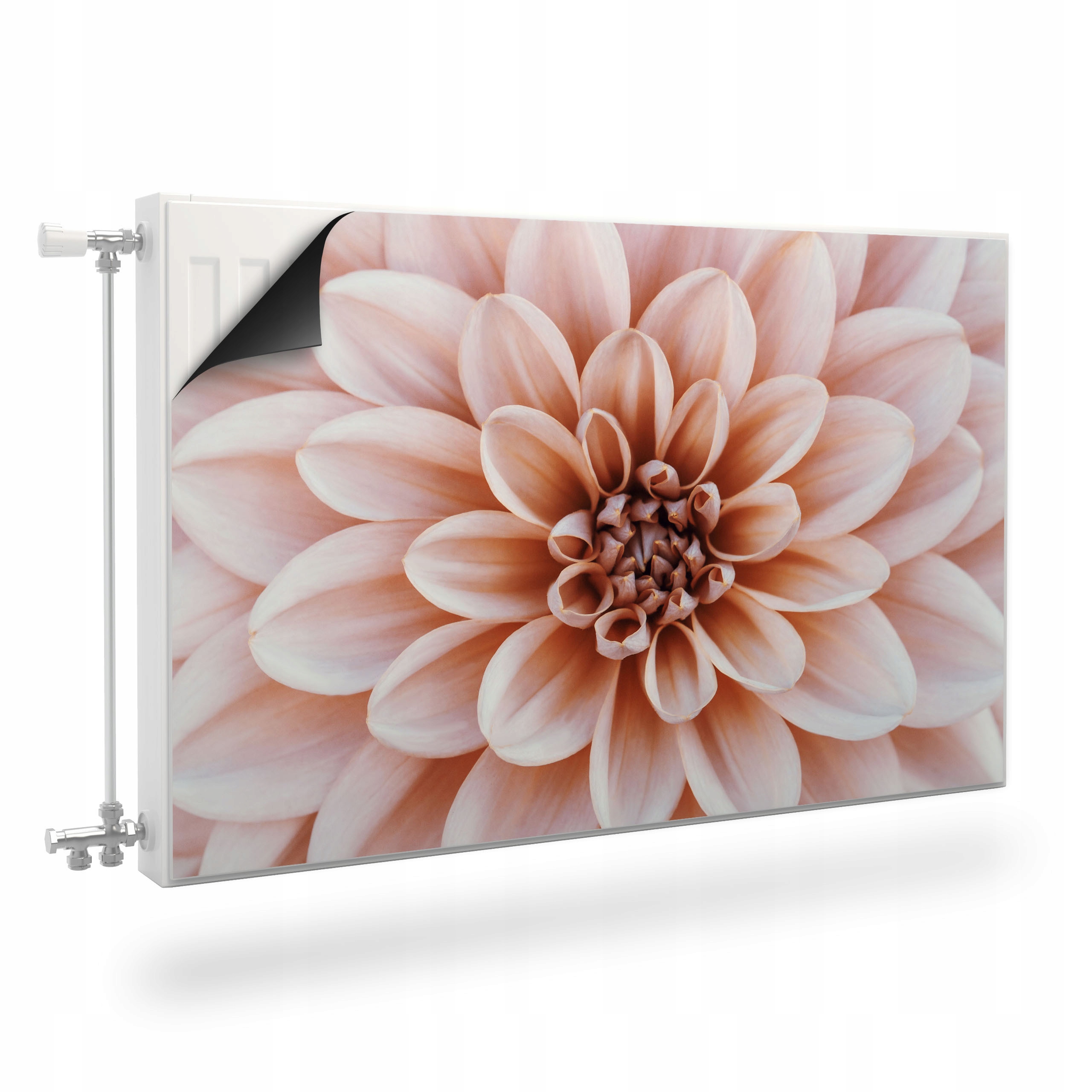 Osłona MAGNETYCZNA Kaloryfera Kwiat Dalii 80x60