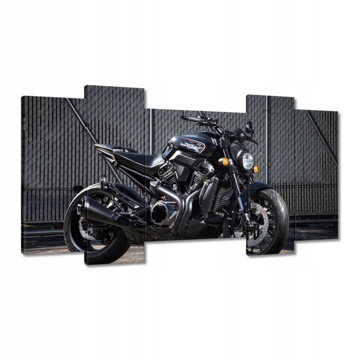 Obrazy 120x65 Harley Davidson Motocykl