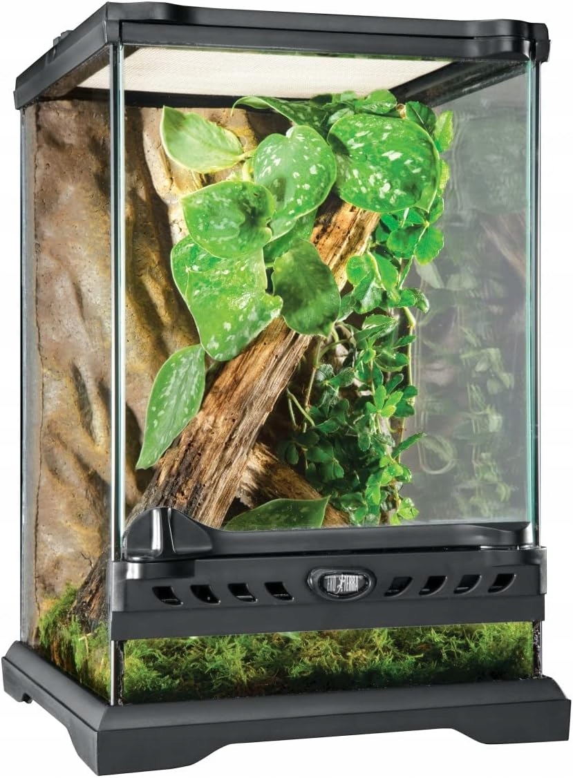 Exo Terra Terrarium Szklane 20X20X30 CM Dla Gadów Gekonów Premium