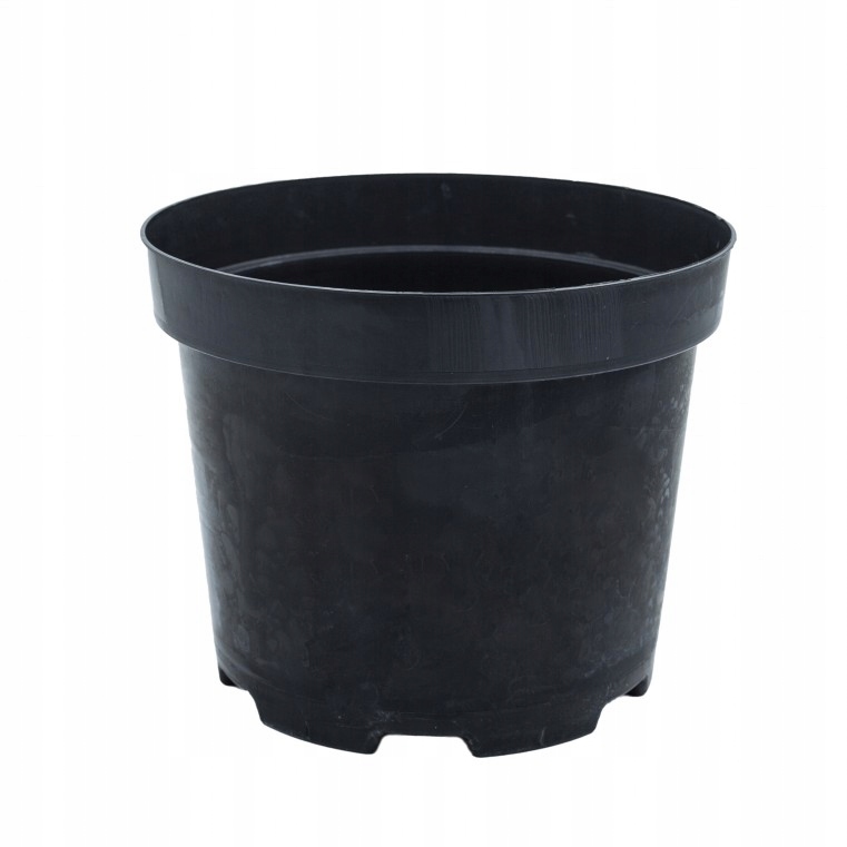 

Doniczka produkcyjna Ø 18 cm Wkład duży rozmiar