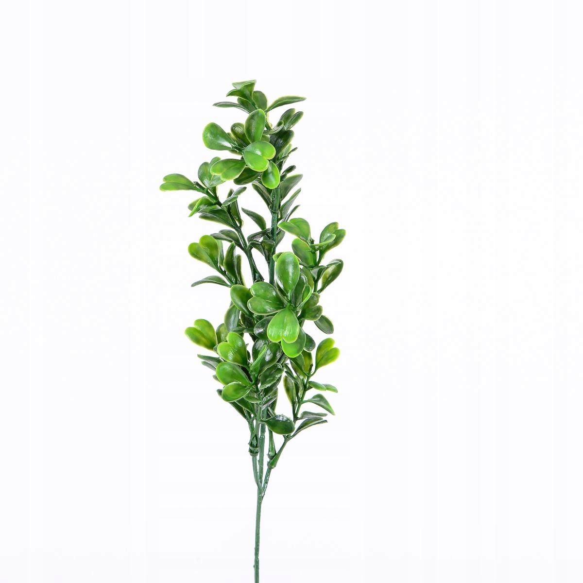 

Bukszpan Borówka Gęste Gałązki Wielkanoc 44 cm