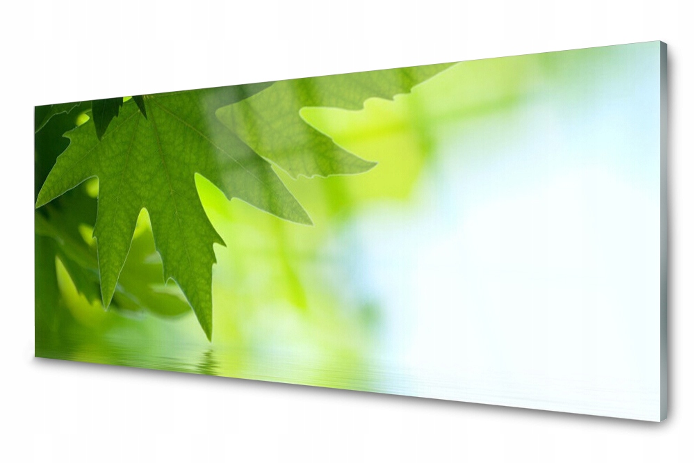 

Panel szklany do kuchni Liście Roślina 125x50