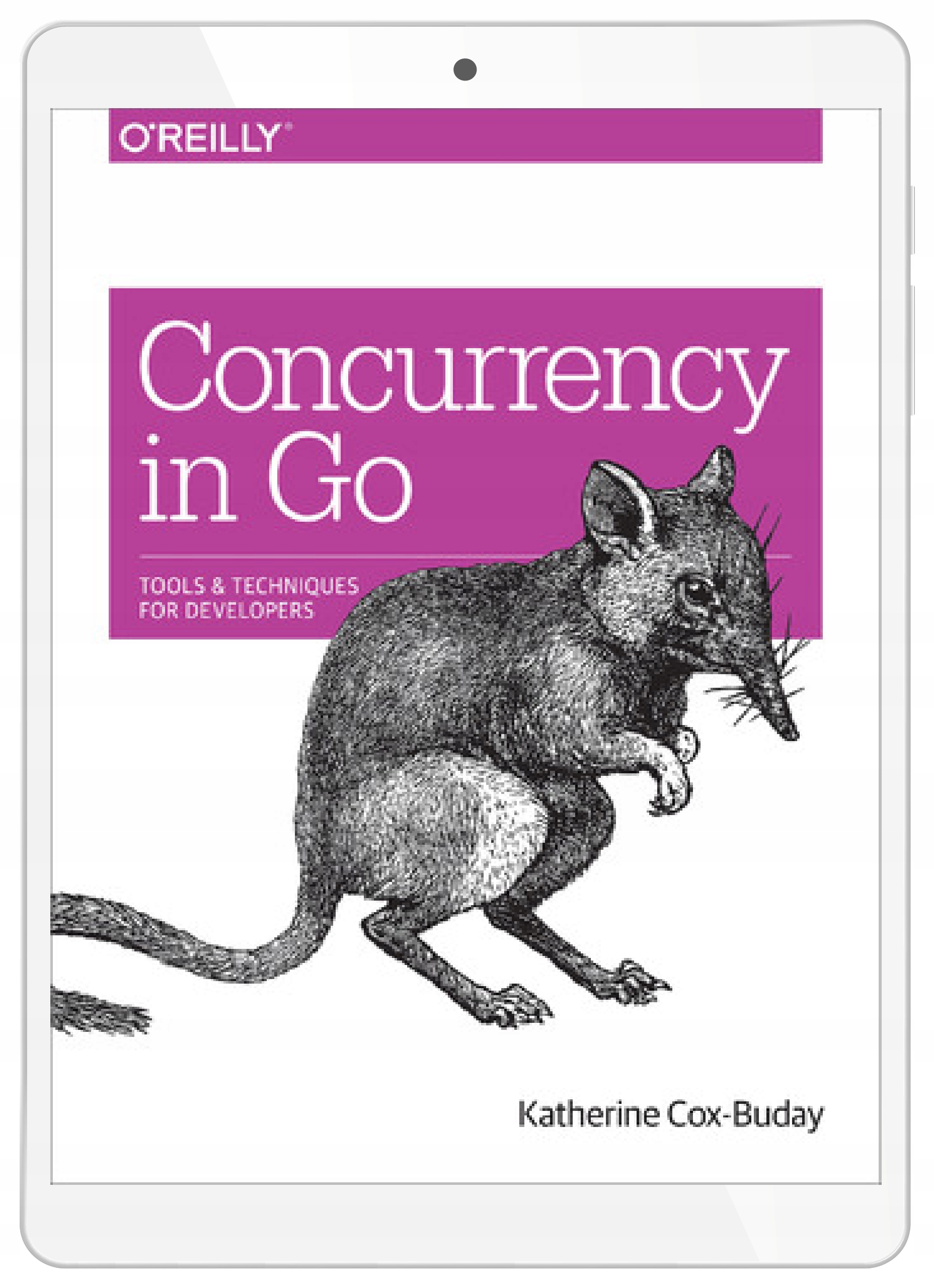 Concurrency in Go. Tools and Techniques for