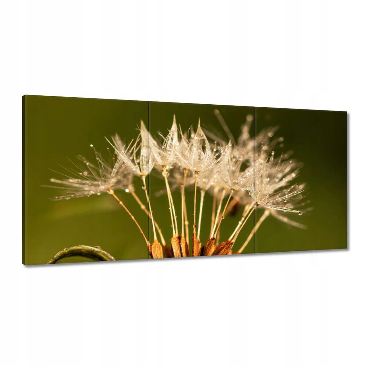 Obrazy 180x90 Púpava