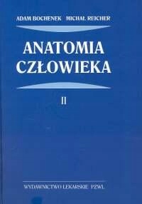 Anatomia człowieka Tom 2