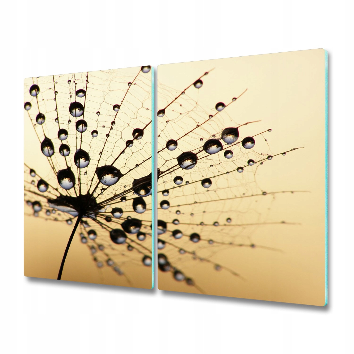 

Deska do krojenia foto Nasiono dmuchawca 2x30x52