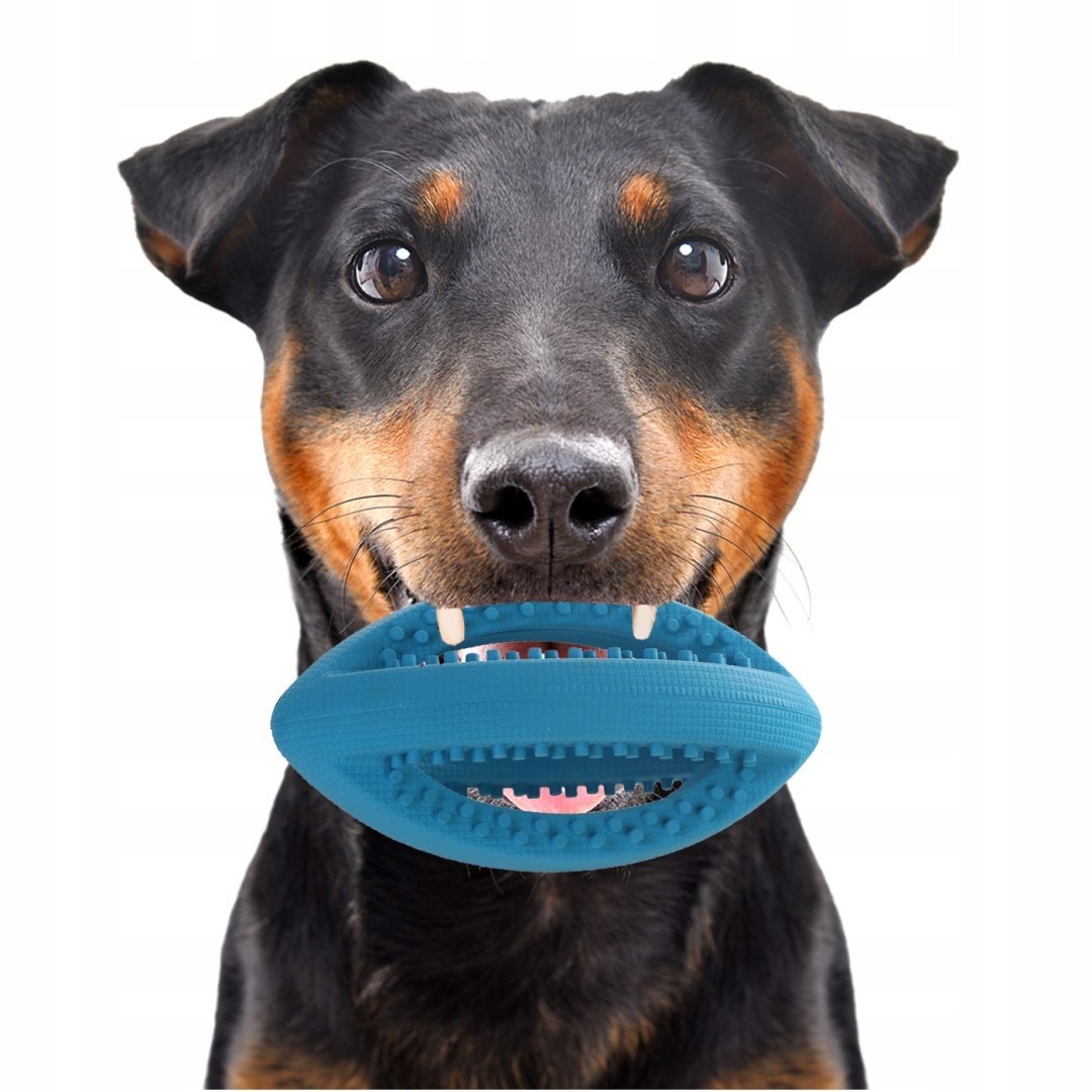 Levně HappyPet Interactive Rugby Ball Mini gumový míček rugby