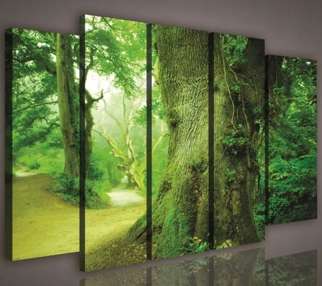 Obraz 150x100 Zelený les chodník stromy príroda pokoj ticho zeleň