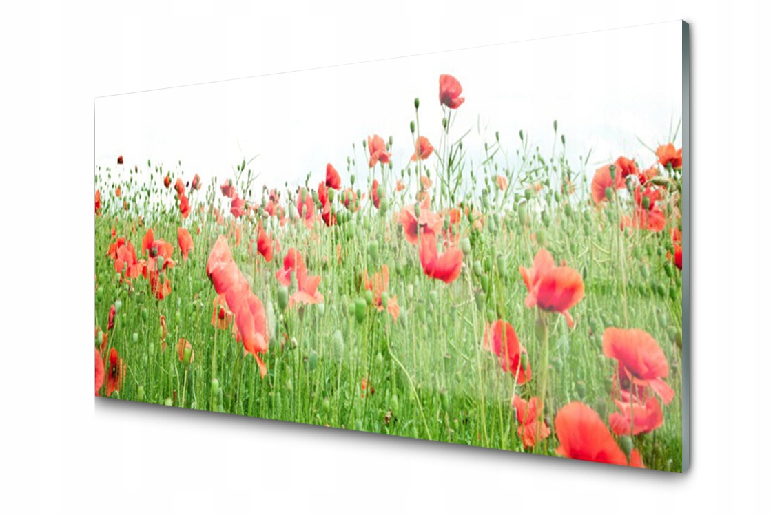 

Panel szklany dekor Maki Roślina 120x60 + Klej